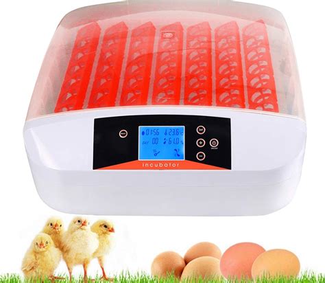 KEBONNIXS 12 Egg Incubator with Humidity Display, Egg Candler, Automatic Egg Turner, for Hatching Chickens. . Egg incubator amazon